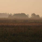 wolka_konopna 